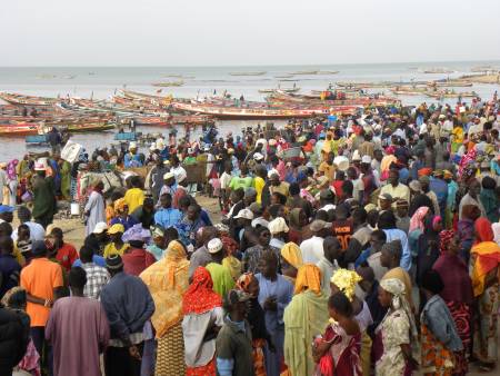 Les femmes, force de survie de la pêche artisanale